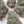 Load image into Gallery viewer, Little &quot;Cali&quot; Gelato CBD Bud
