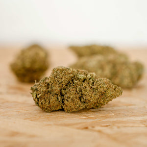 L.A. Chocolate CBD Bud – close-up shot of indoor-grown light green buds with frosty trichomes