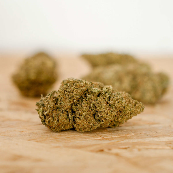 L.A. Chocolate CBD Bud – close-up shot of indoor-grown light green buds with frosty trichomes