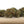 Load image into Gallery viewer, Fury Road DIESEL CBD Bud
