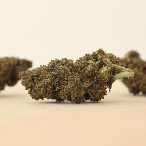 Grower's Selection - SAPPHIRE KUSH