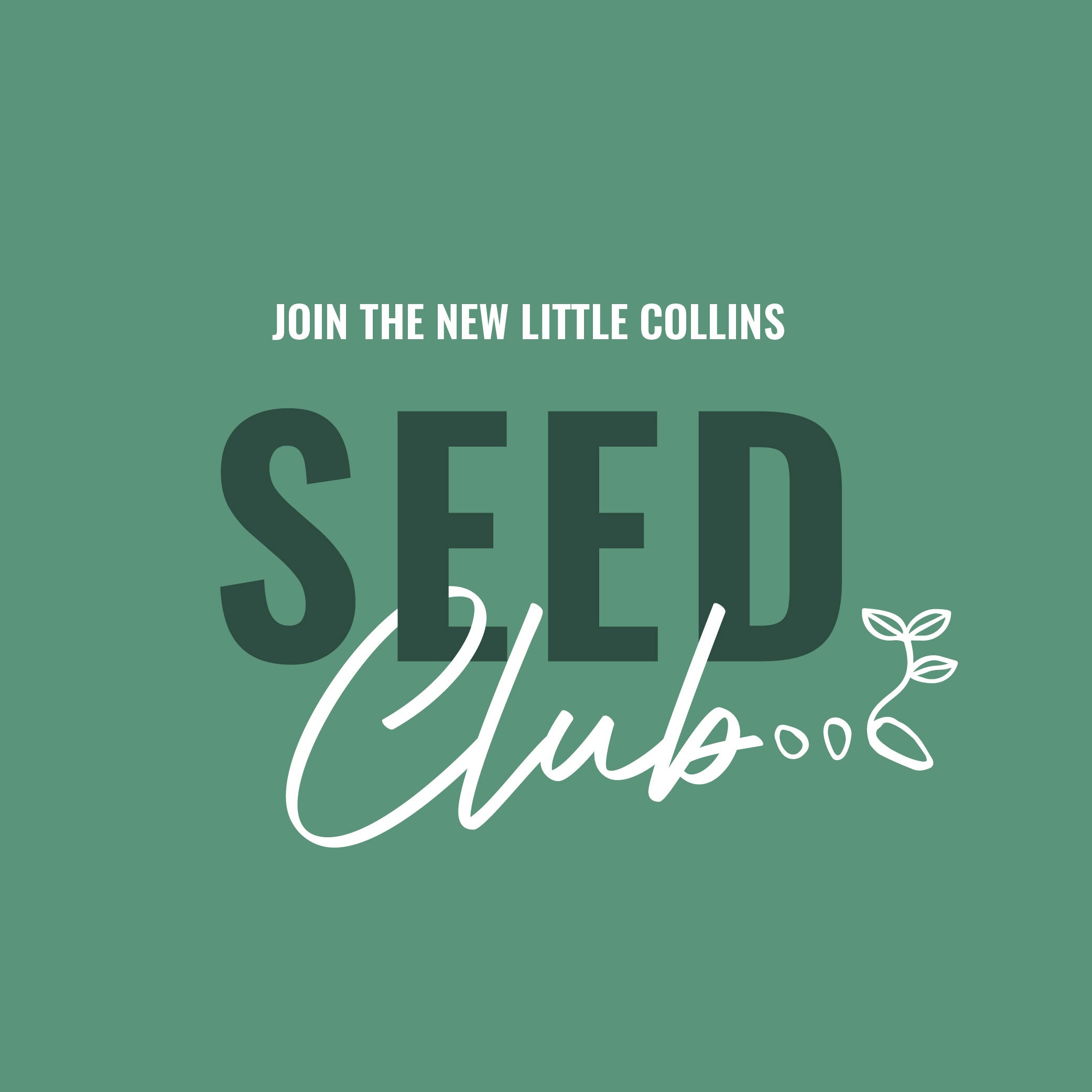 The Little Collins Seed Club