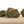 Load image into Gallery viewer, Fury Road DIESEL CBD Bud
