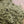 Load image into Gallery viewer, Close-up view of fine, natural hemp protein powder texture from Little Collins organic blend.
